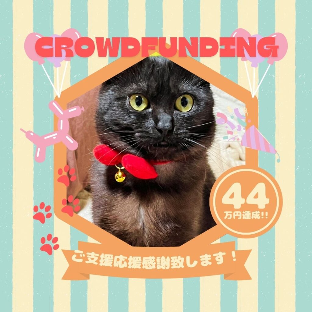 【ご報告】クラウドファンディング達成のご報告と心からの感謝｜【塗装本舗絆ホームサービス】